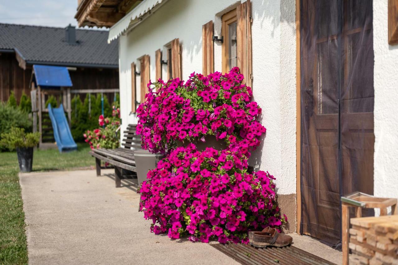 Narzenhof Wellness Chalets, Familien & Luxus Apartments Am Bauernhof Sankt Johann in Tirol Exterior foto